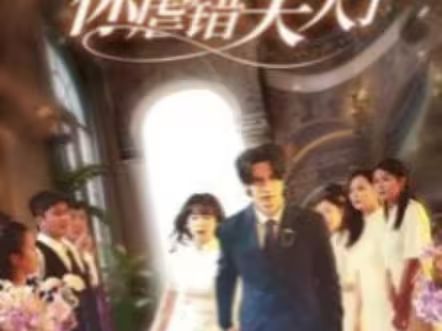 陆总住手吧，你虐错夫人了 第1-20集