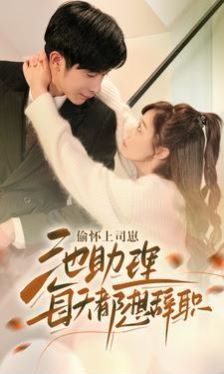 偷怀上司崽池助理每天都想辞职 第41-60集