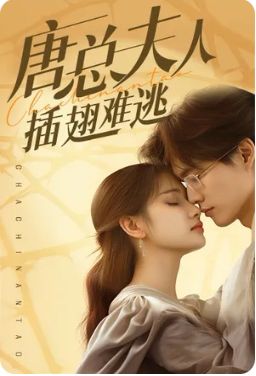 唐总夫人插翅难逃 第61-96集完结(大结局)