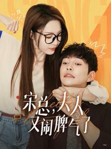 宋总，夫人又闹脾气了 第21-40集