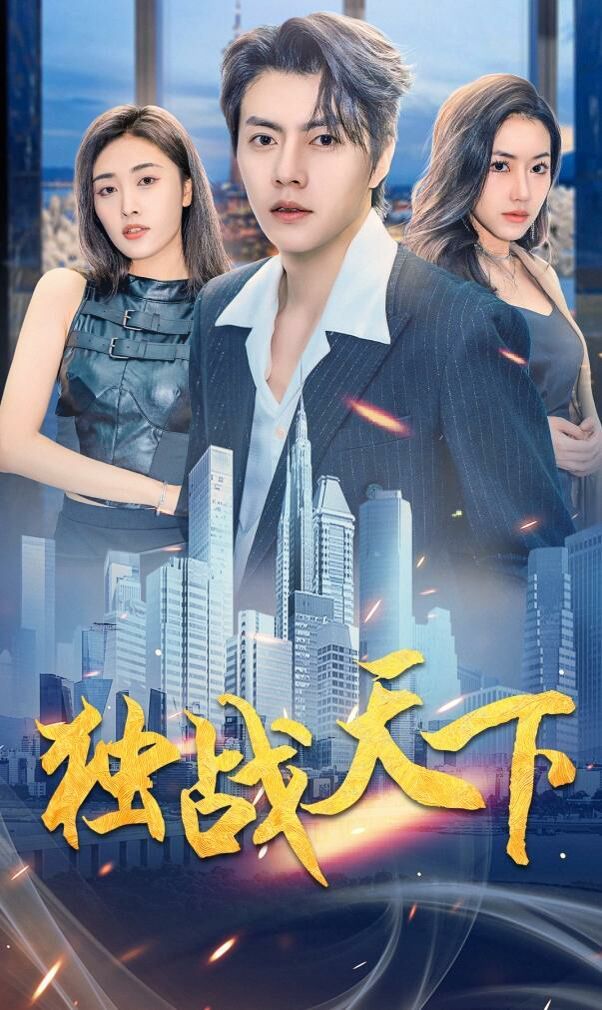 独战天下 第41-60集