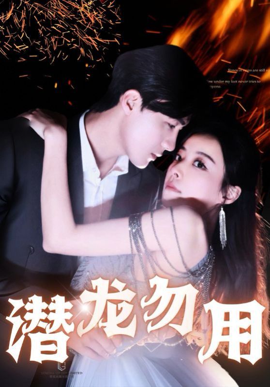 潜龙勿用 第1-20集