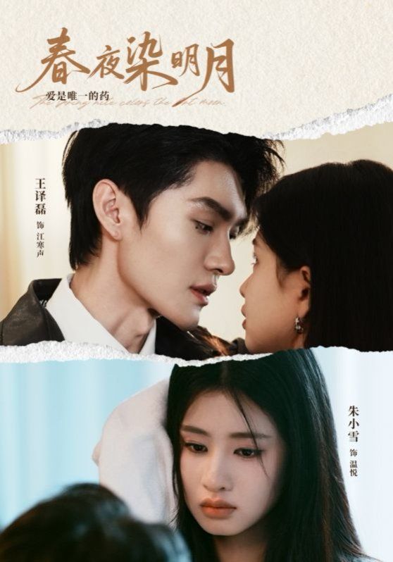 春夜染明月(全集)