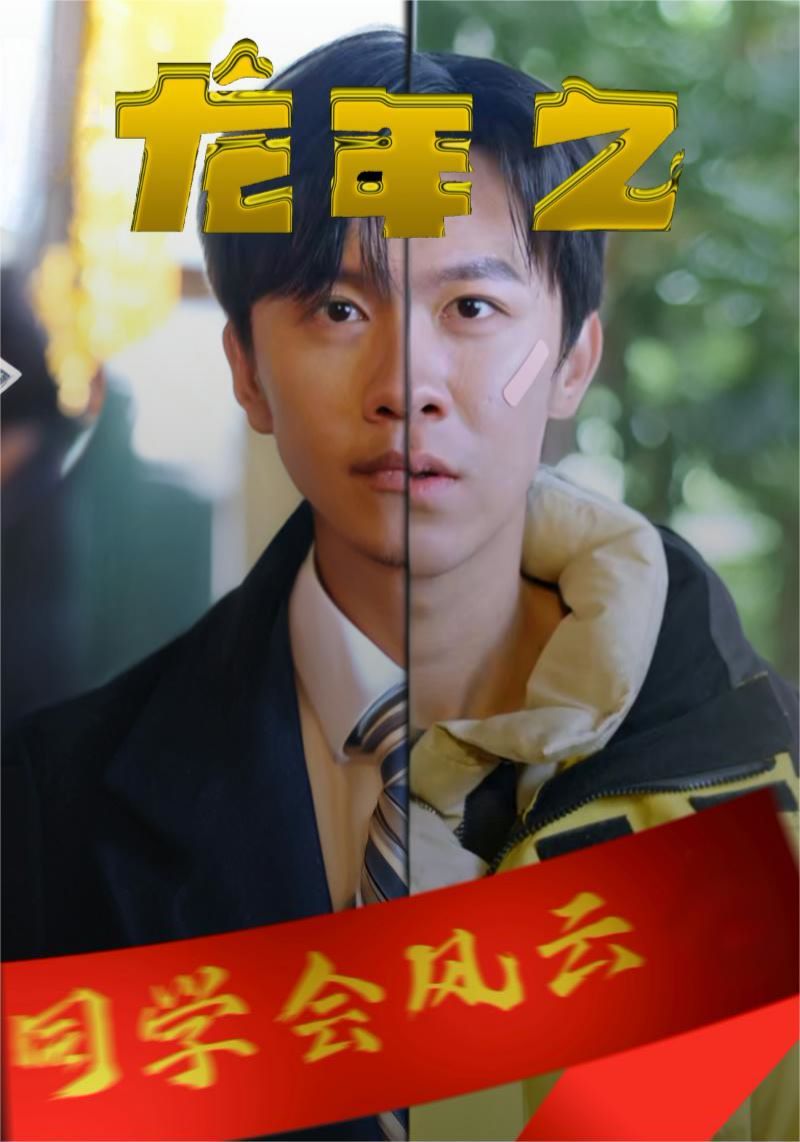 龙年之同学会风云 第21-40集
