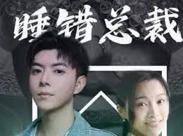 睡错总裁狂宠妻 第81-100集完结(大结局)