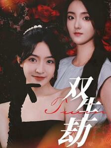 双生劫 第41-60集