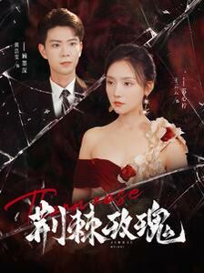 荆棘玫瑰 第41-60集