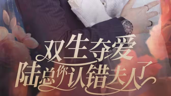 双生夺爱陆总你认错夫人了 全集(大结局)