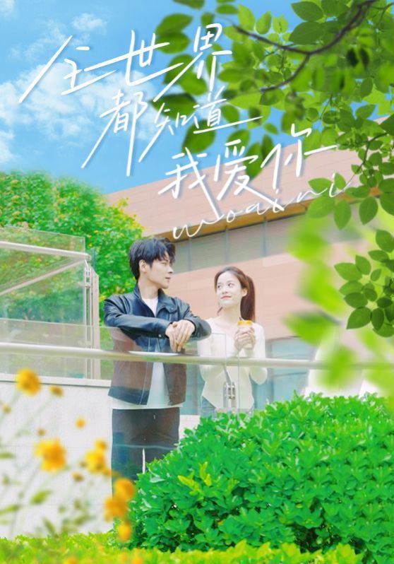 全世界都知道我爱你 第41-60集