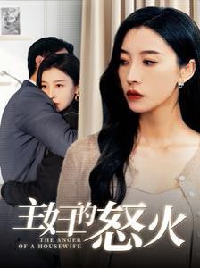 主妇的怒火 第41-60集完结(大结局)