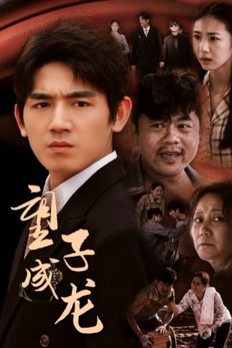 望子成龙 全集(大结局)