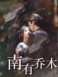 南有乔木 第21-40集