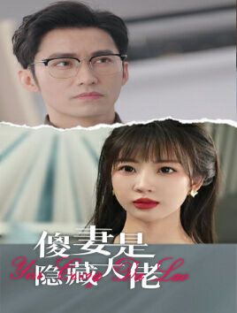 傻妻是隐藏大佬 第21-40集