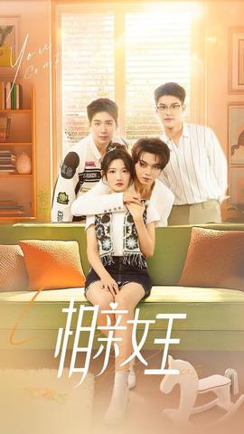 相亲女王 第41-66集完结(大结局)