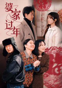 婆家过年 第41-71集完结(大结局)