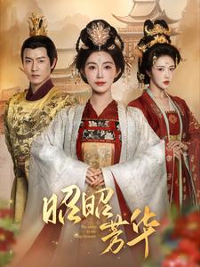 昭昭芳华 第21-40集