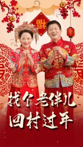 找个老伴儿回村过年 第1-20集