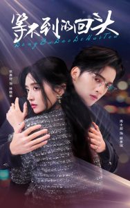 等不到的回头 全集完结(大结局)