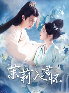 茉莉入君怀 第1-20集