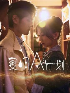 复明A计划 第21-40集