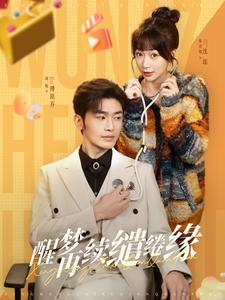 醒梦再续缱绻缘 第41-60集