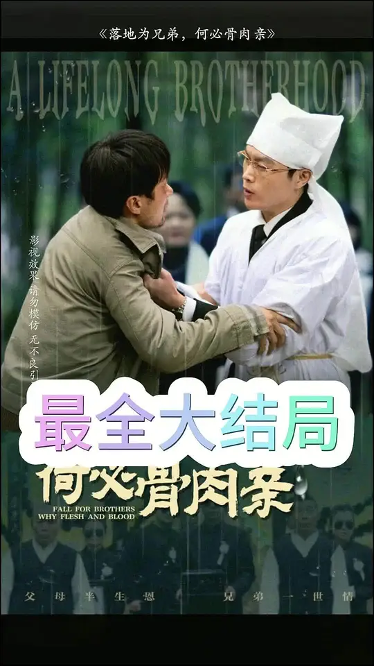 落地为兄弟，何必骨肉亲 第41-60集完结(大结局)