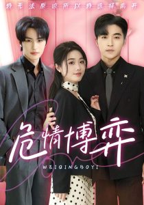 危情博弈 第1-20集