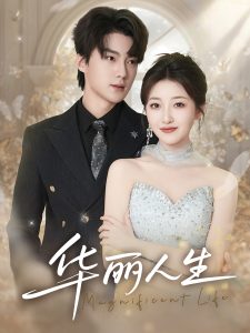 华丽人生 第1-20集