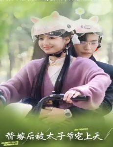 替嫁后被太子爷宠上天 全集(大结局)