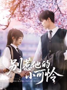 别惹他的小可怜 第1-30集