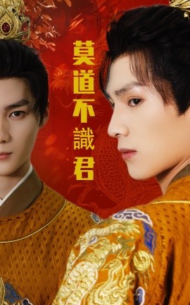 莫道不识君 第1-30集