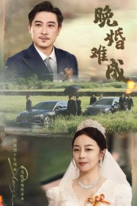 晚婚难成 第31-60集完结(大结局)