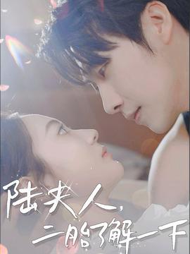 陆夫人，二胎了解一下 全集完结(大结局)